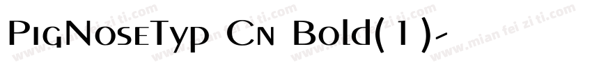 PigNoseTyp Cn Bold(1)字体转换